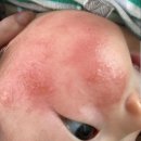 권이네농장 | 범권이네X스카이밀크 당나귀유 천연 보습제/ 스카이밀크공구