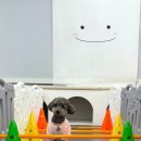 다온멍스쿨 이미지