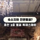 호흘 이미지