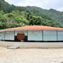 빌라누트 이미지