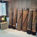 단아한 현의울림, 가야금 | 가야금 종류 이렇게 많다고?? 정악·산조·25현 가야금 차이 알아보기