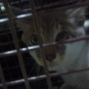 아람광고 Daum카페