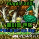 메이플피시 이미지