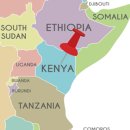 김요한농장 이미지