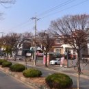 사림동291 이미지