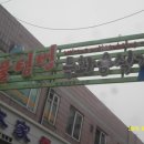 용현동물텀벙이거리 이미지