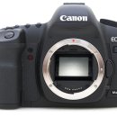 Canon EOS 5D 리뷰 이미지