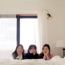 스테이동백 이미지