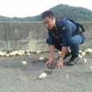 마동석 카카오 검색결과