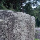 소나무숲 - 강릉시 독송길110번길 34 | 소나무숲