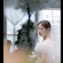 에이치 필름 이미지