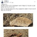 이재명, 측근 죽음 뒤 ‘정면돌파’ 행보…‘책임론’ 싸고 분란 계속 이미지