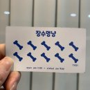 장수멍냥 이미지