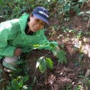 살구정이 이미지