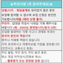 두두나인 이미지