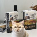 두부두부 | 고양이두부모래추천 테비 두부두부 네츄럴에디션 사용후기