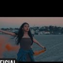 치타(CHEETAH) 이미지