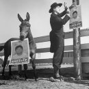 남춘천초등학교 이미지