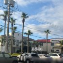 카페하다 - 파주시 미래로 537 | 제주 표선 오션뷰 카페 "표선하다" 방문 후기