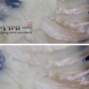 명성회센타 - 20984 | 명성회센타