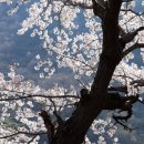 아담시 - 전주시 완산구 중화산로 64 | 아담시