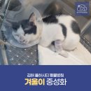 율하시티동물병원 네이버블로그