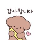 펫소울메이트 이미지