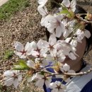 해운대센트럴호텔 이미지