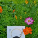현에이앤씨 건축사사무소 | 아침 경제 기사 읽기(9월 6일)