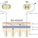 사랑 받는 남자를 담적(痰積) 치료가 만든다! 이미지