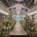 비타메인 이미지