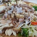 바위섬낙지