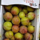 달콤하니 이미지