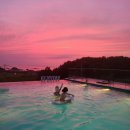 엘리스테이보령 이미지