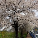 강남부동산박사공인중개사사무소 이미지