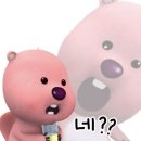 신용카써비스