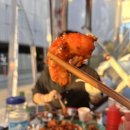 조갯집 이미지