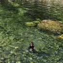 밀양얼음골자연애길목 | 밀양 계곡 수영장 좋은 펜션,평상대여 추천 자연애길목펜션