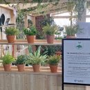 [10/20]가드닝 클래스 이미지