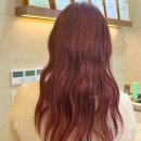 진헤어겔러리 이미지