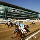 부산경남경마공원 화장실 이미지