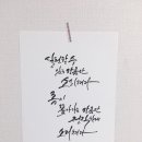 붓펜 캘리그라피 이미지