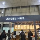 엔제리너스커피 김해공항 이미지