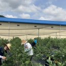 오인석농장 이미지