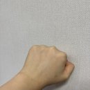 이지비건 팩트 리필 후기, 보송 메이크업 유지되는 파우더 팩트 추천