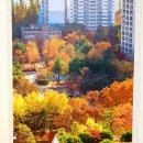 길주공원 이미지