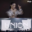 딩고 이미지