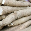 고려건강원 이미지