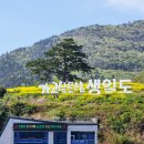 생일면-2 | 완도 생일도 여행 1박2일 유채꽃 가족여행 배예약 꿀팁