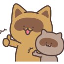 조선한우 이미지